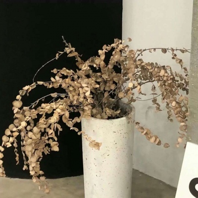 兽设家庭场景设计FurryQQ群